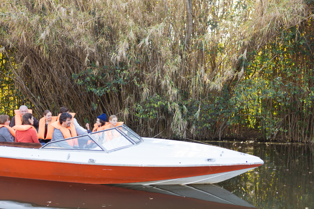 The Evolution of Airboat Rides in Orlando, FL