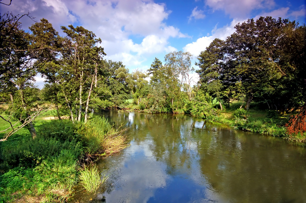 Exploring the Natural Ecosystems of Florida through Airboat Tours