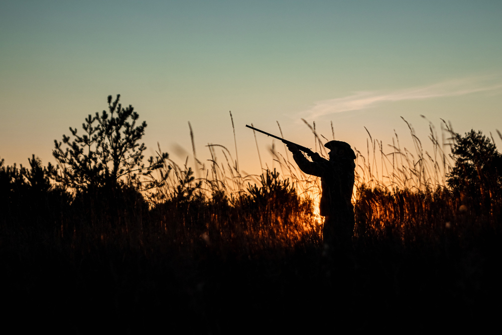 The Ultimate Guide to Weapons and Strategies for Gator Hunts