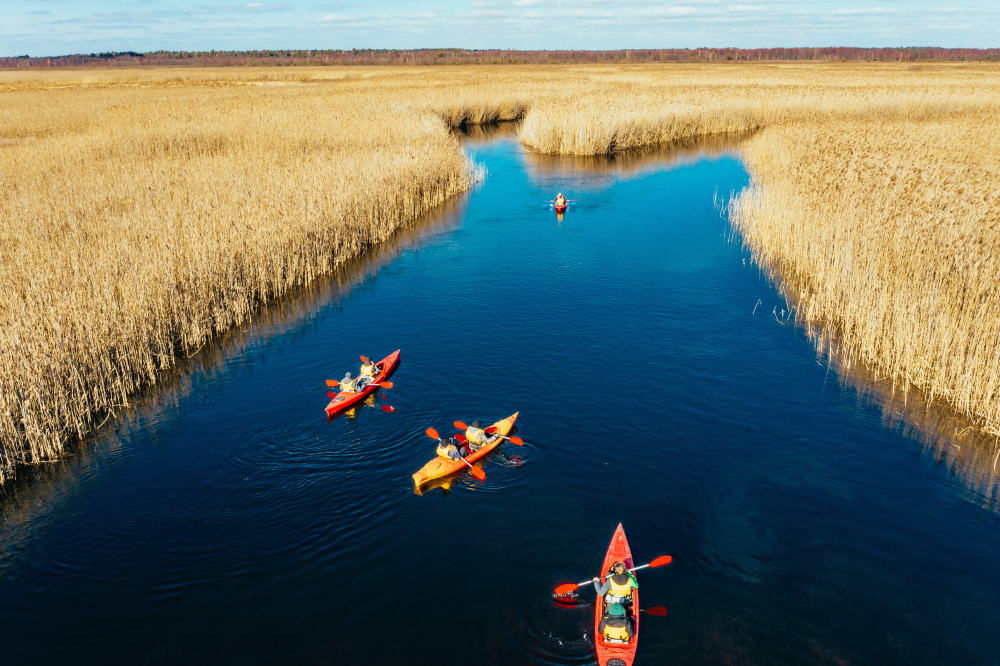 Everything You Need to Know About Airboat Rides in Orlando, FL