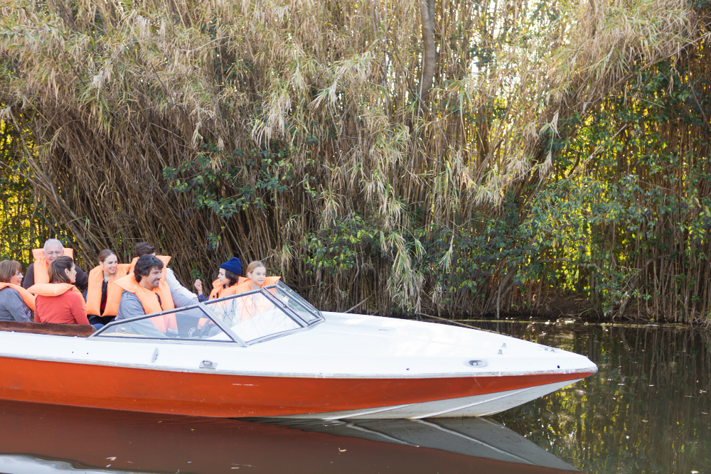 Face Your Fears & Experience Airboat Tours in Orlando, FL