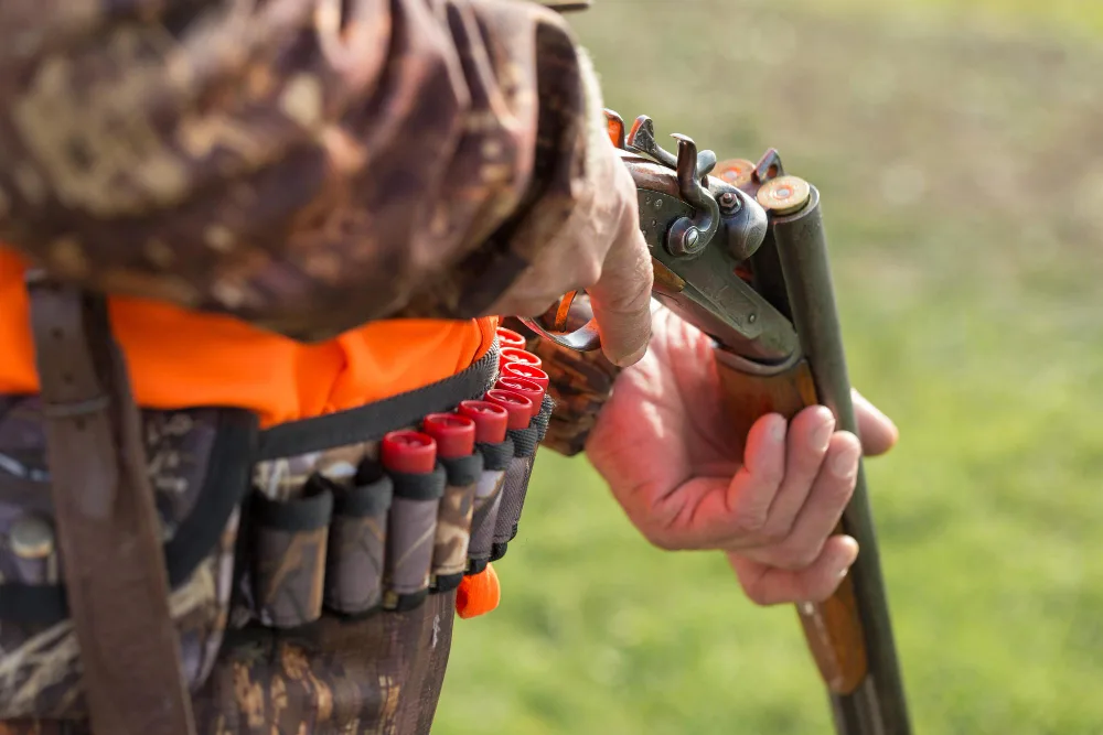 Understand Local Hunting Regulations Before Your Next Hog Hunt
