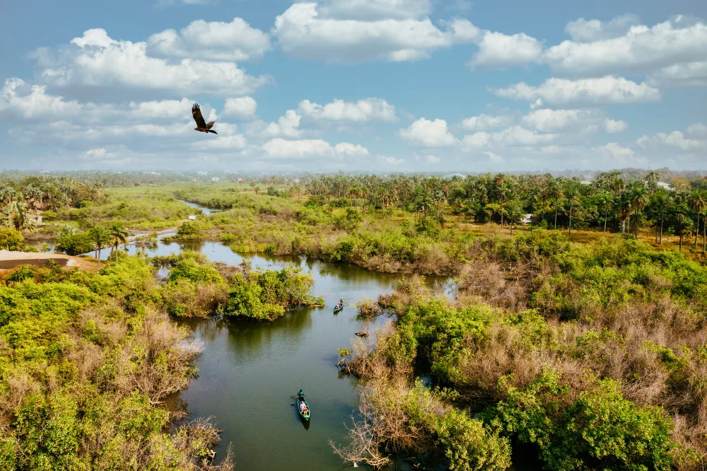 Common Mistakes People Make When Booking the Best Everglades Airboat Tours