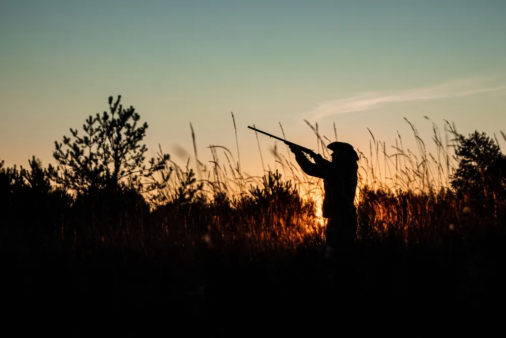 The Ultimate Guide to Weapons and Strategies for Gator Hunts
