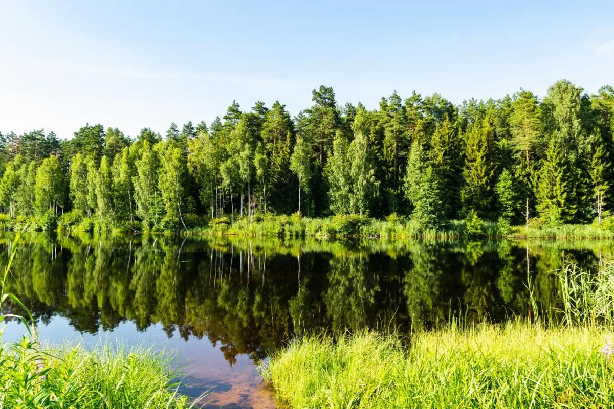 Four Unique Facts about the Florida Everglades