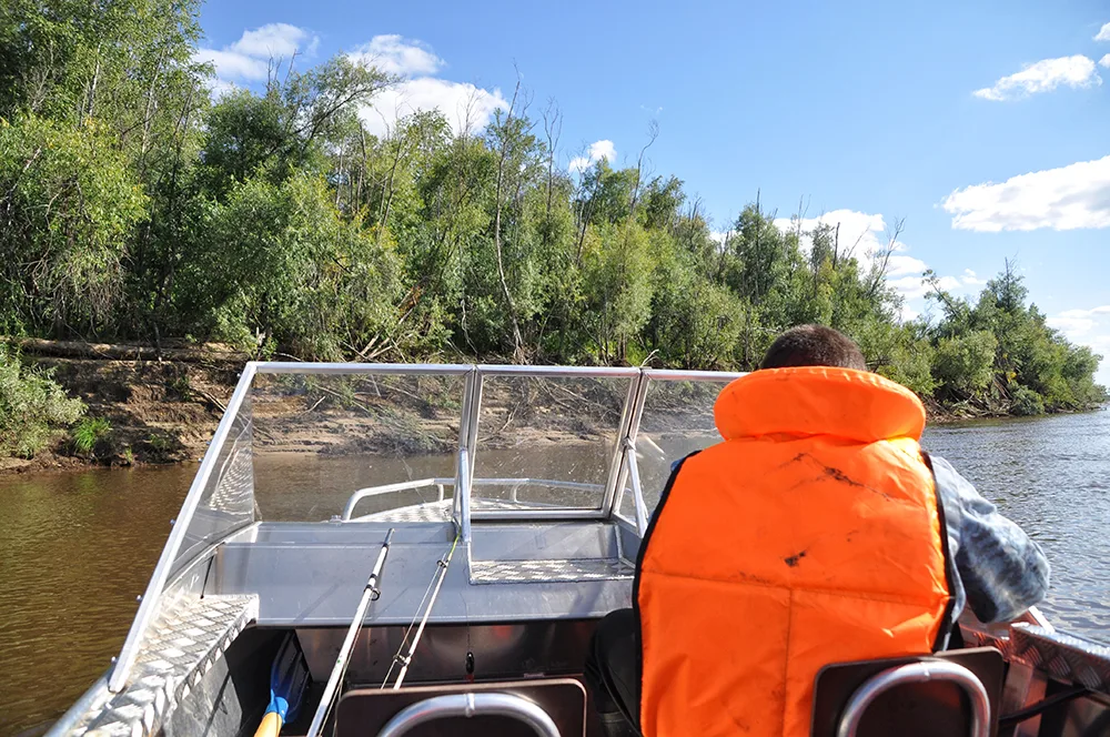 Why Animal Lovers Should Book Airboat Tours in Orlando