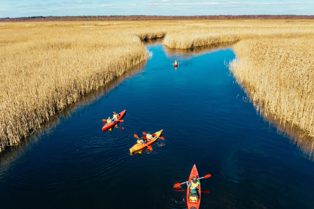 The History of Airboat Tours