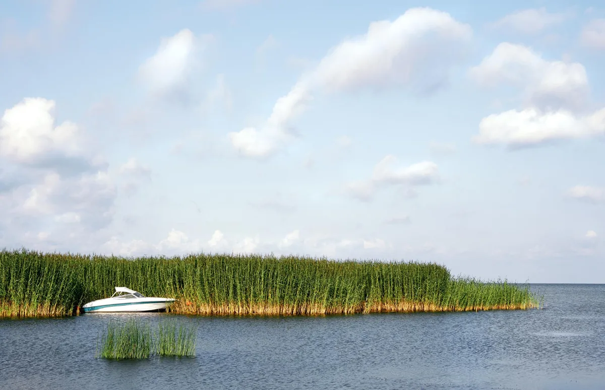 The Best Time to Book an Airboat Ride: Tips and Tricks