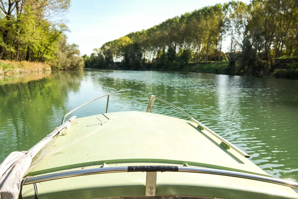 Beyond the Parks: Orlando Airboat Tours & Florida Secrets
