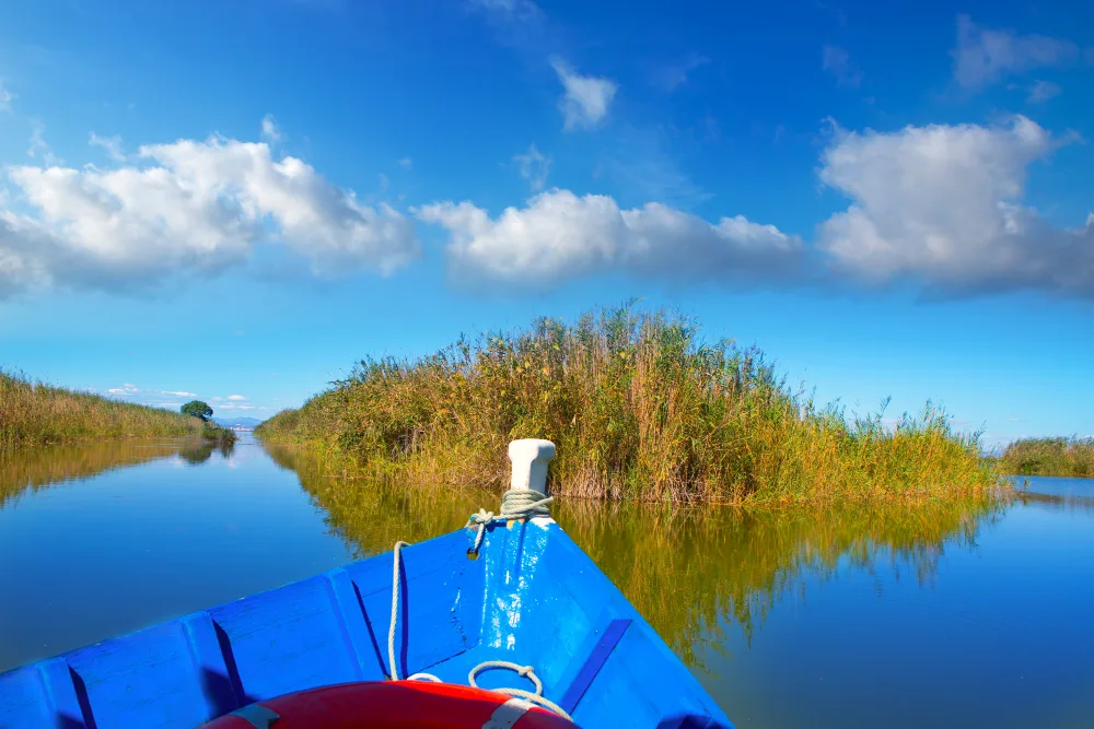 Why Switchgrass Outfitters Offers the Best Airboat Tours in Orlando