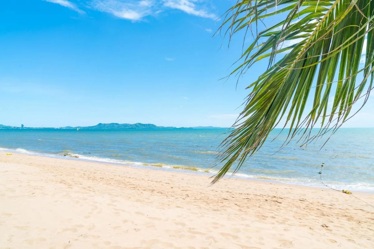 Four Reasons Why Many Tourists Visit Florida