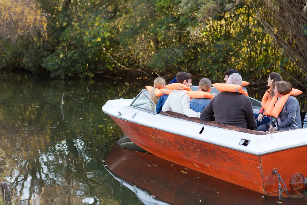 Airboat vs. Traditional Boat: What Makes Airboats Special?