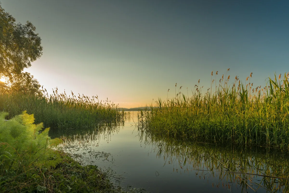A Deep Dive into the History of Airboats in Florida