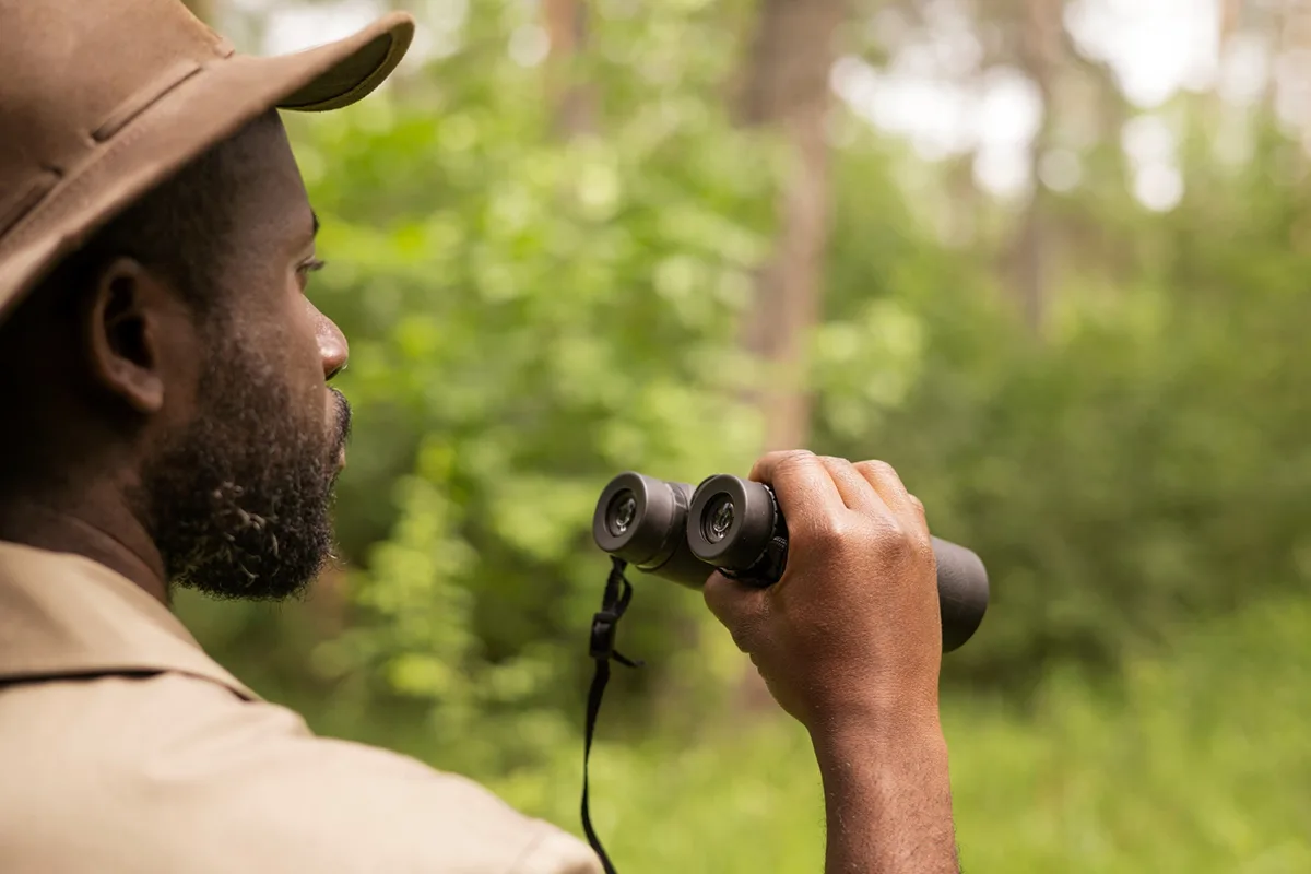 Don't Miss These Experiences During Your First Wild Florida Trip